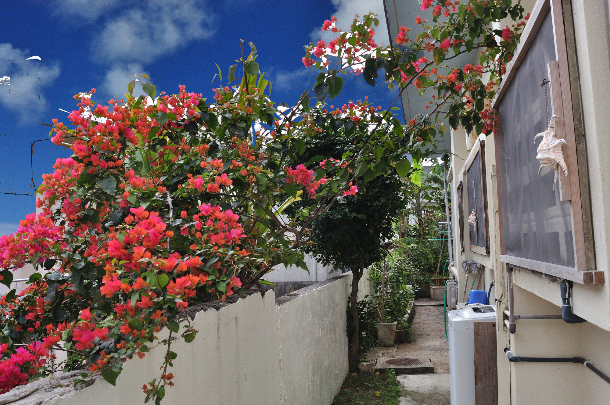 Accommodation Limited To One Group Per Day Yukuiru Miyakojima  Екстер'єр фото